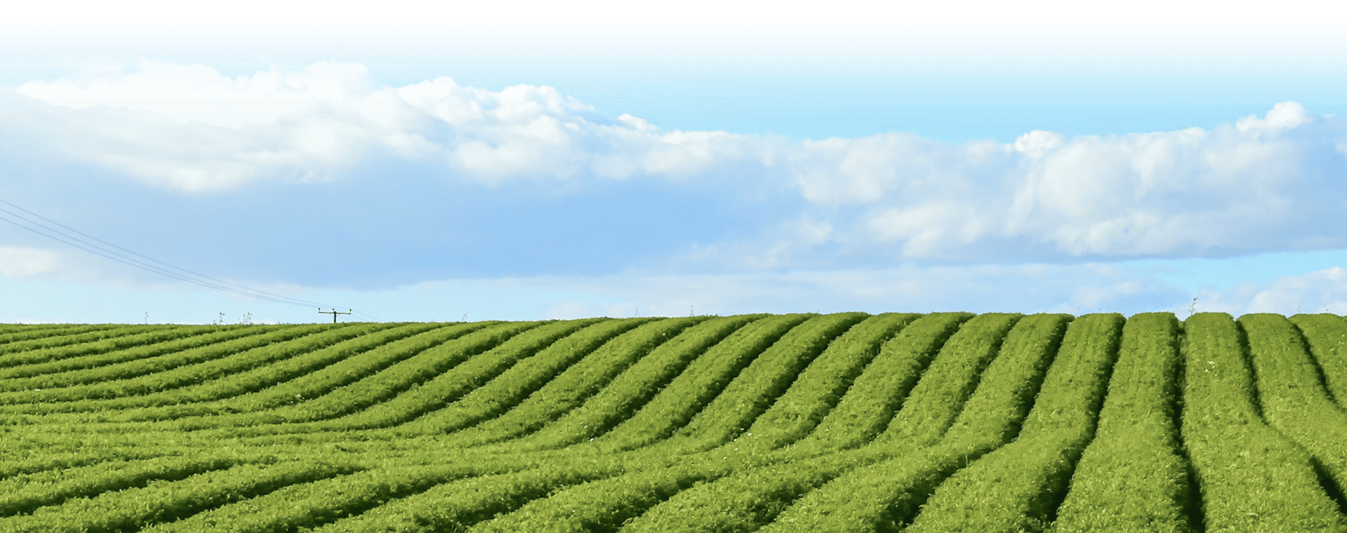 Applications-swiper1