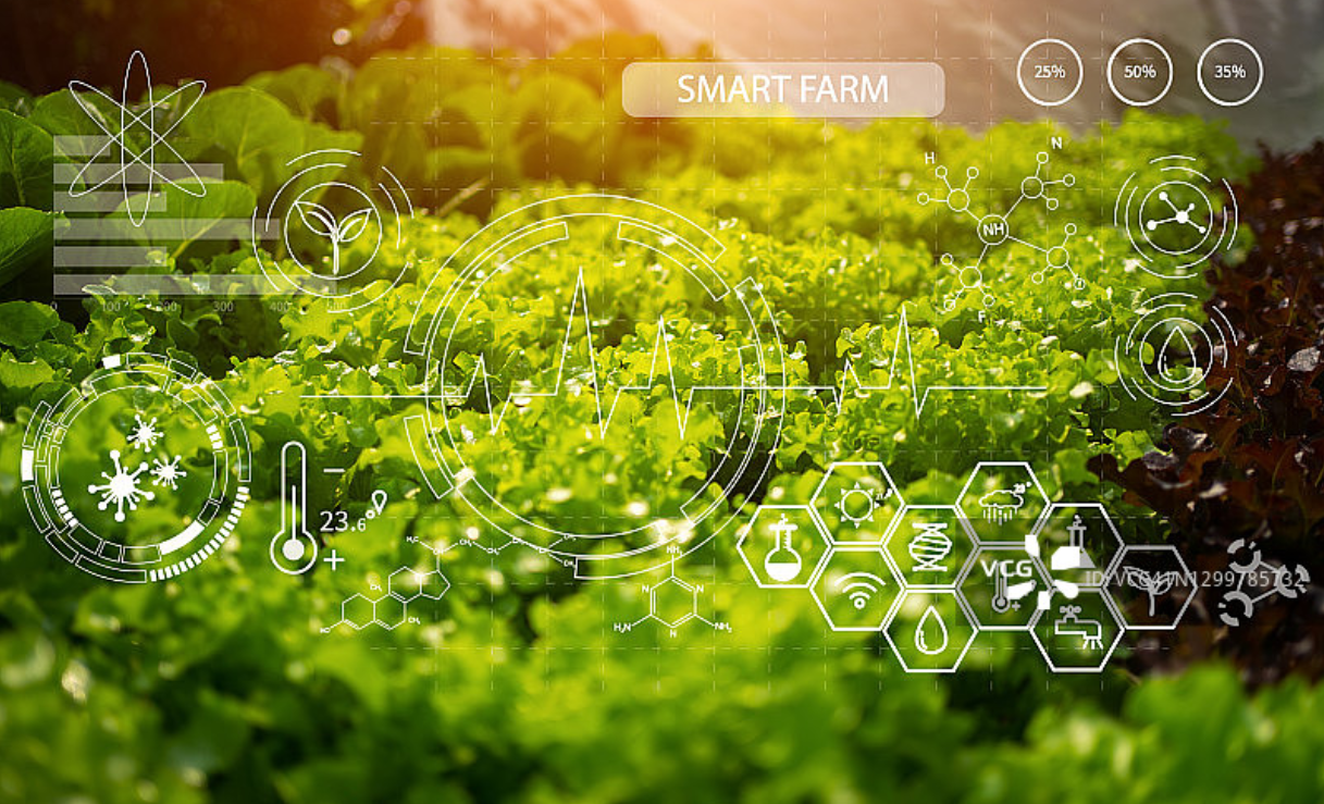 agriculture-solutions